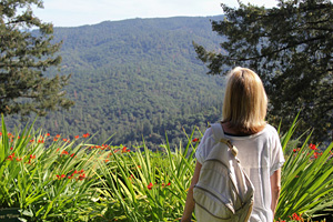 Meditator at Lotus Lake